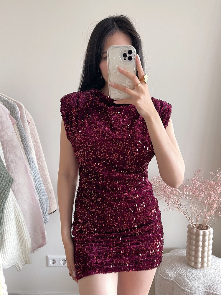 Nadine Sequin Dress / Bordeaux Red