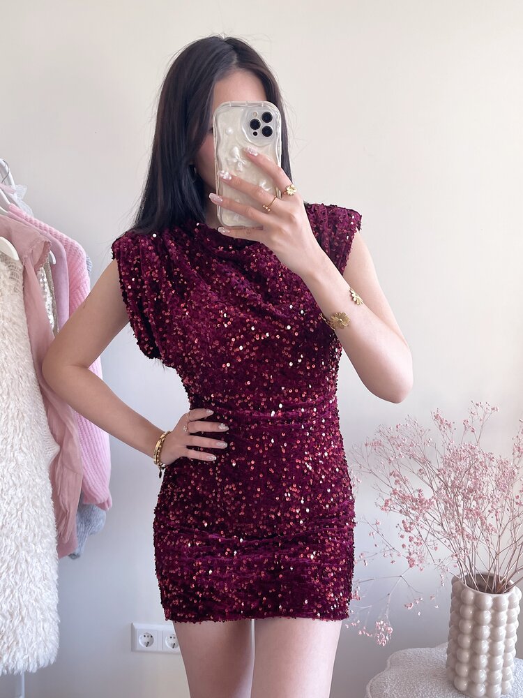 Nadine Sequin Dress / Bordeaux Red
