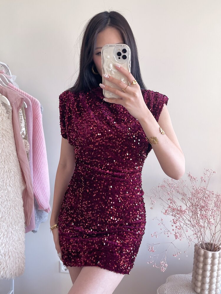 Nadine Sequin Dress / Bordeaux Red