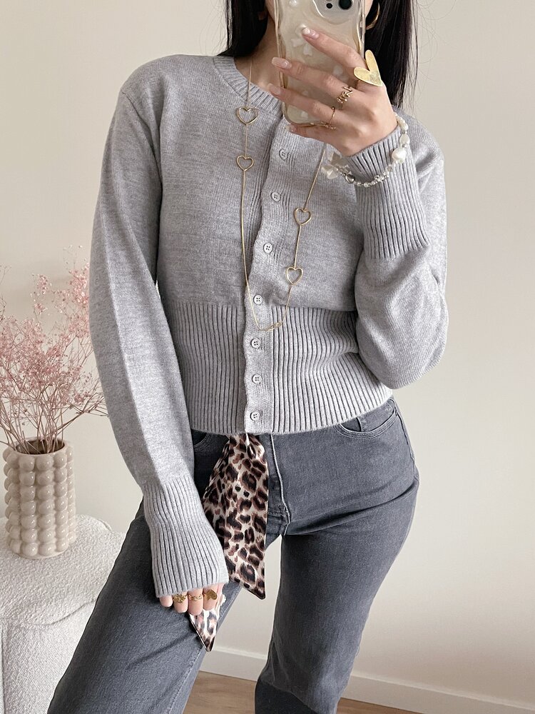 Aila Button Cardigan / Grey