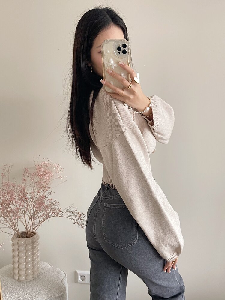 Lana Basic Crop Sweater / Beige