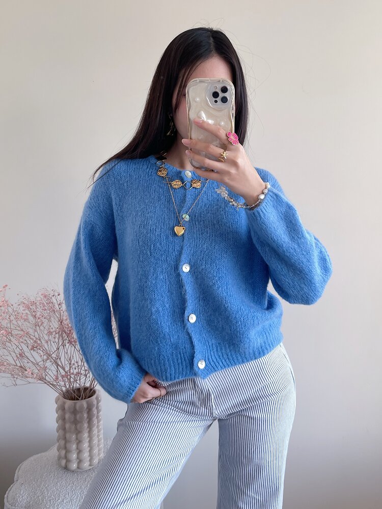 Lydia Fluffy Knit Cardigan / Blue