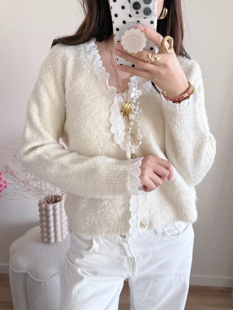 Lovie Embroidered Trim Cardigan / Beige
