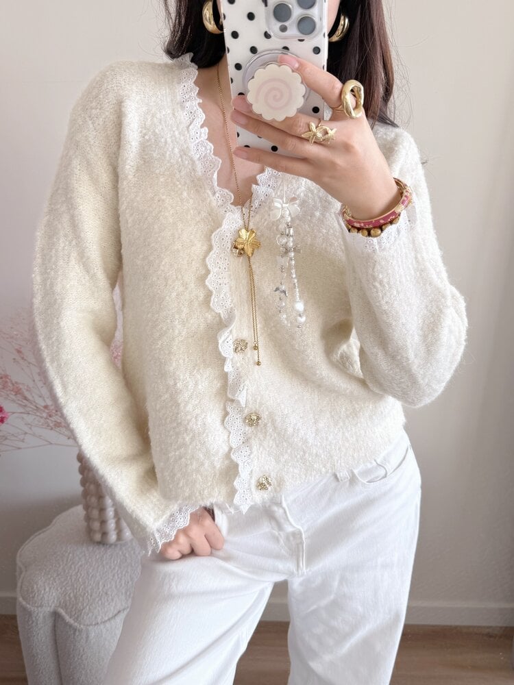 Lovie Embroidered Trim Cardigan / Beige