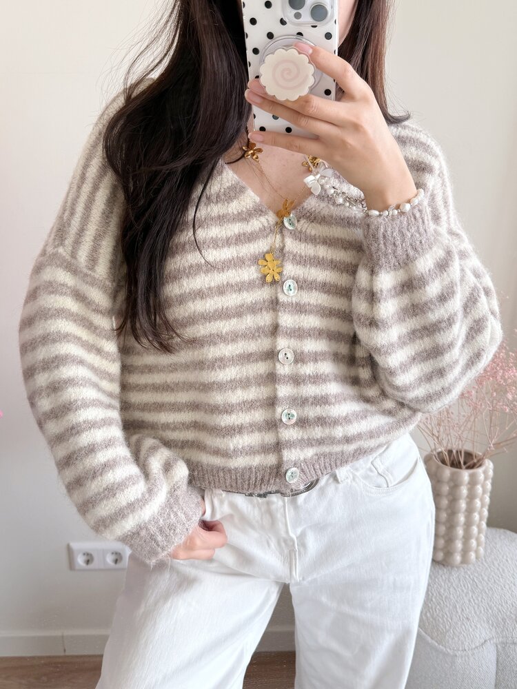 Mare Striped Knit Cardigan / Beige