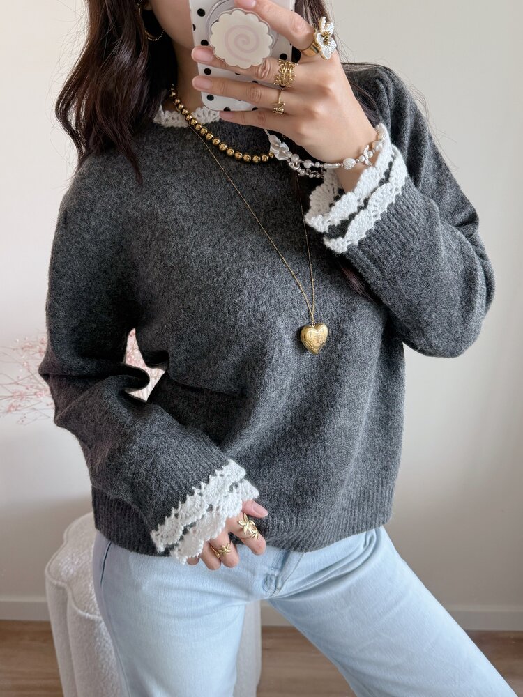 Luisa Embroidery Knit Sweater / Grey