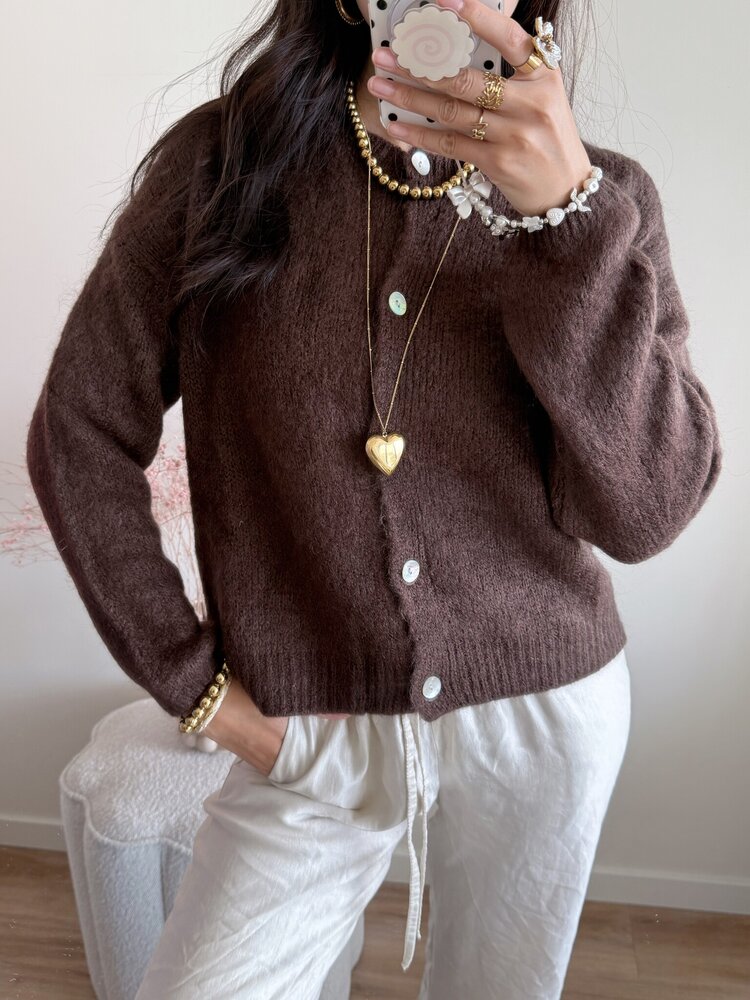 Lydia Fluffy Knit Cardigan / Brown