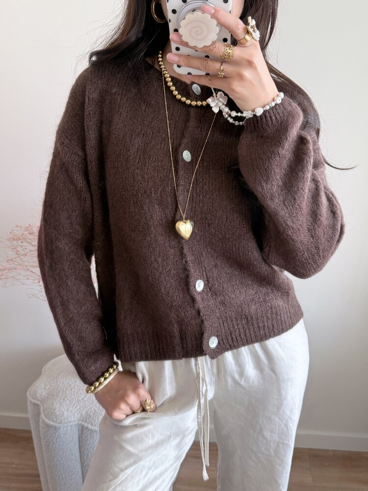 Lydia Fluffy Knit Cardigan / Brown