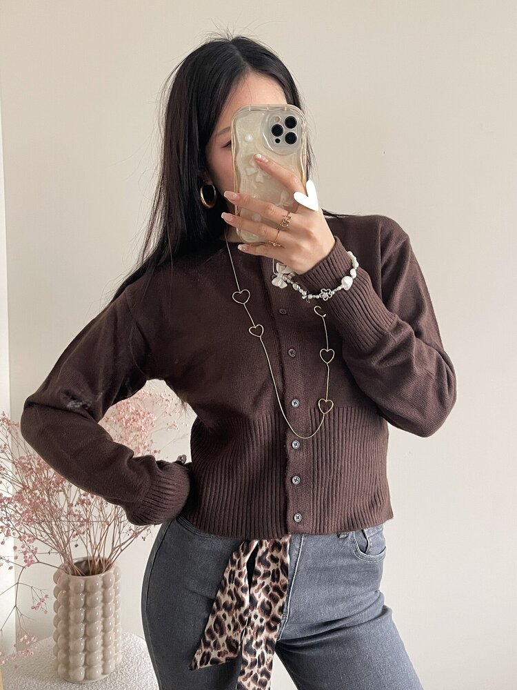 Aila Button Cardigan / Brown