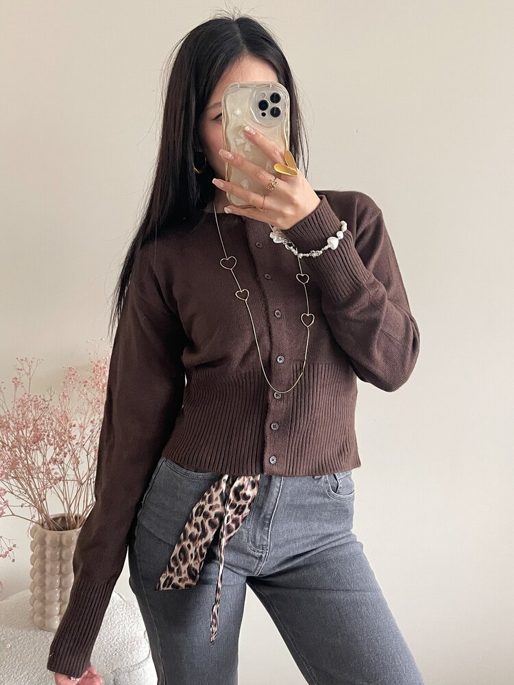 Aila Button Cardigan / Brown