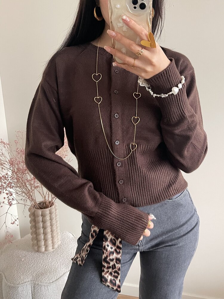 Aila Button Cardigan / Brown