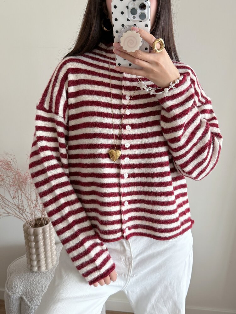 Xenia Striped Knit Cardigan / Red