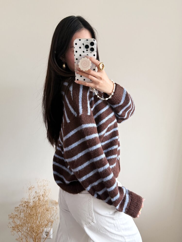 Phileine Striped Cardigan / Coffee Brown & Blue