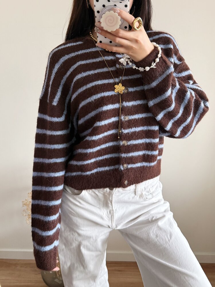 Phileine Striped Cardigan / Coffee Brown & Blue