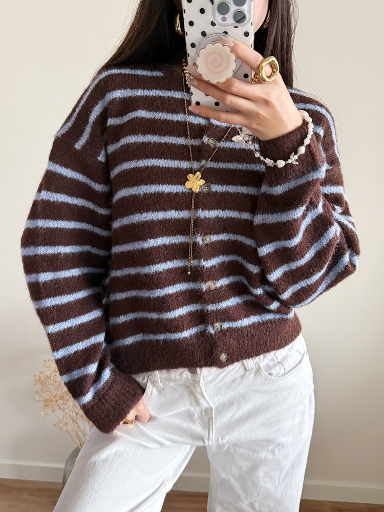 Phileine Striped Cardigan / Coffee Brown & Blue