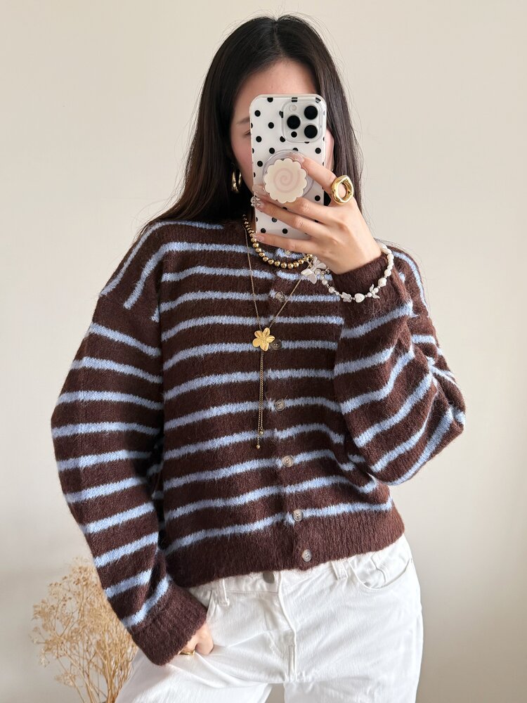 Phileine Striped Cardigan / Coffee Brown & Blue