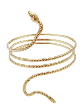 Gold Snake Above Bracelet
