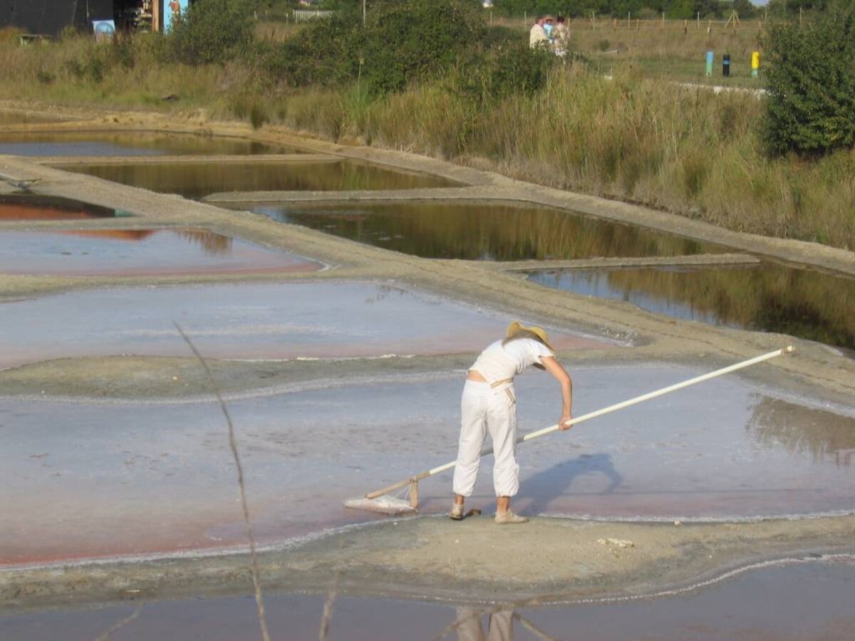 Fleur de sel