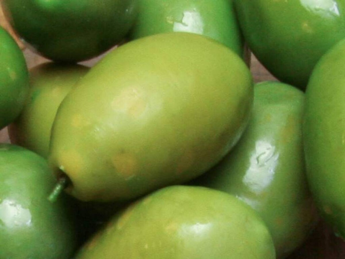 Bella Di Cerignola groene olijven