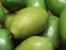 Bella Di Cerignola groene olijven