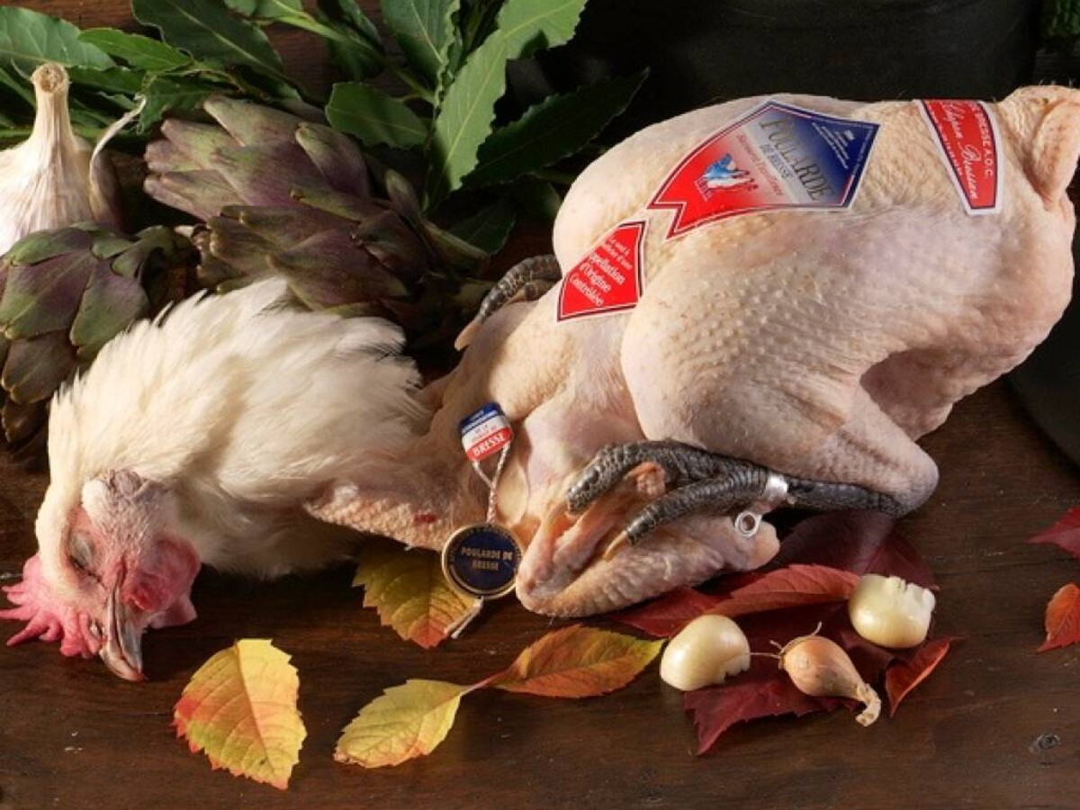 Bresse Poularde (chicken), Bresse (A.O.C.)