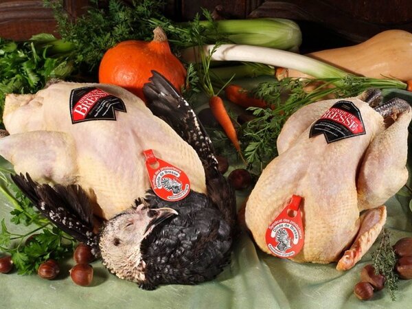 Bresse Turkey (dinde de Bresse) A.O.C.