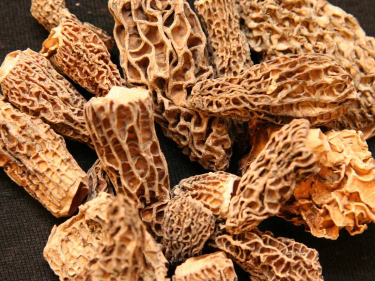 Dried morels