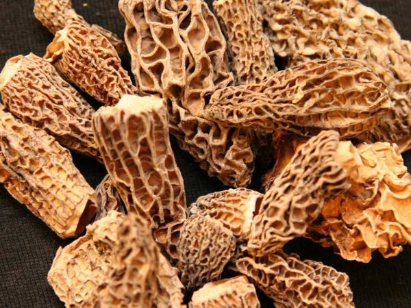 Dried morels