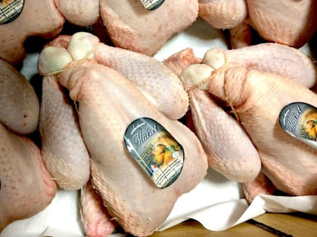 Coquelet (haantje) uit de Bresse