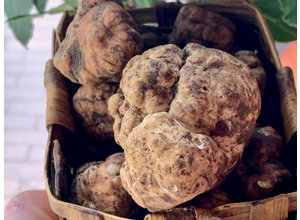 Verse bianchetti  (marzuolo, maarttruffel)