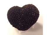 Truffel