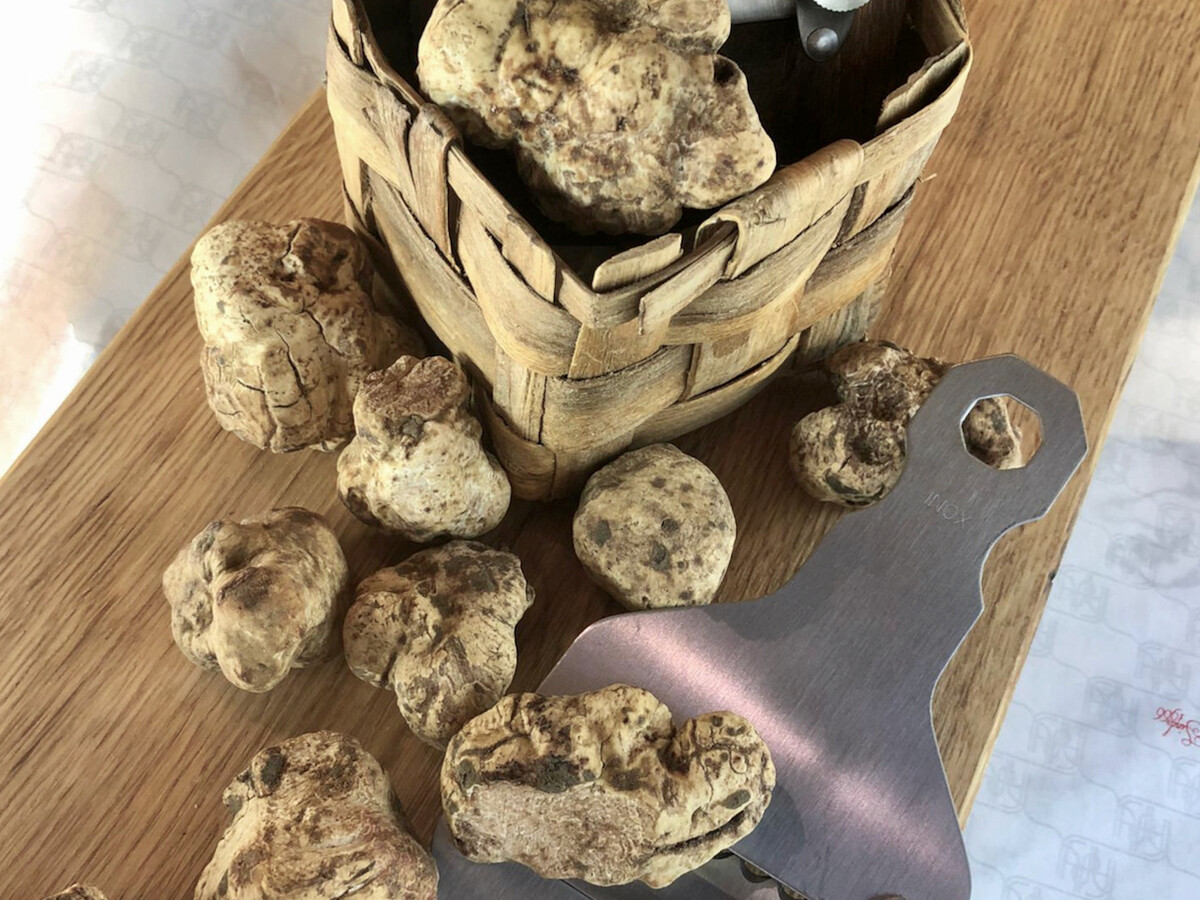 Fresh white truffle (Tuber Magnatum Pico)
