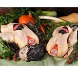 Kalkoen / turkey  (RAW) THANKSGIVING