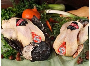 Kalkoen / turkey (RAW) THANKSGIVING