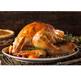 Kalkoen / turkey  (COOKED) THANKSGIVING