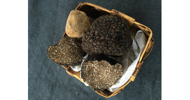 Truffle