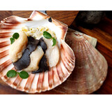 Coquille St Jacques in de schelp/ truffel/prei