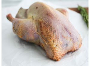 Fazant (hen)