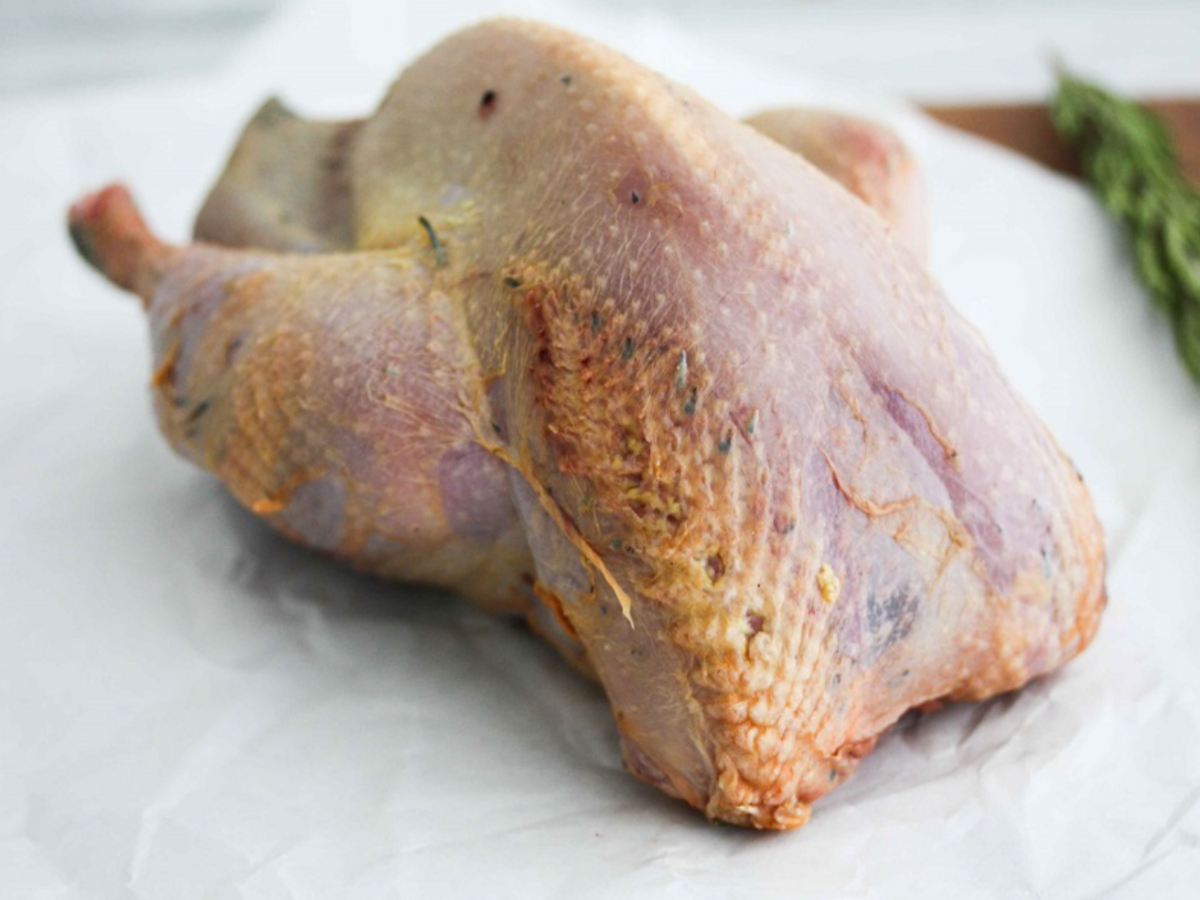 Pheasant (male)