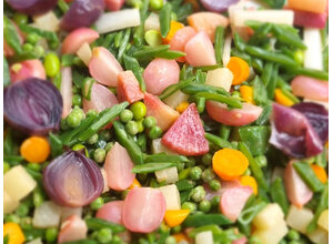 Lentemelange/radijs/doperwt/tuinboon/snijboon/koolrabi