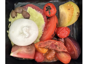 Mini burrata/tomaten- melange/avocado
