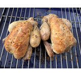 Coquelet (haantje) uit de Bresse