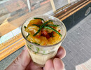Schaaldierenpannacotta/ Hollandse garnaal/zeekraal