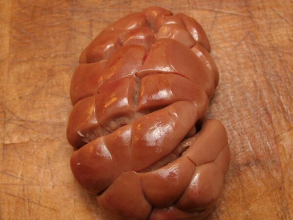 Kidney of veal