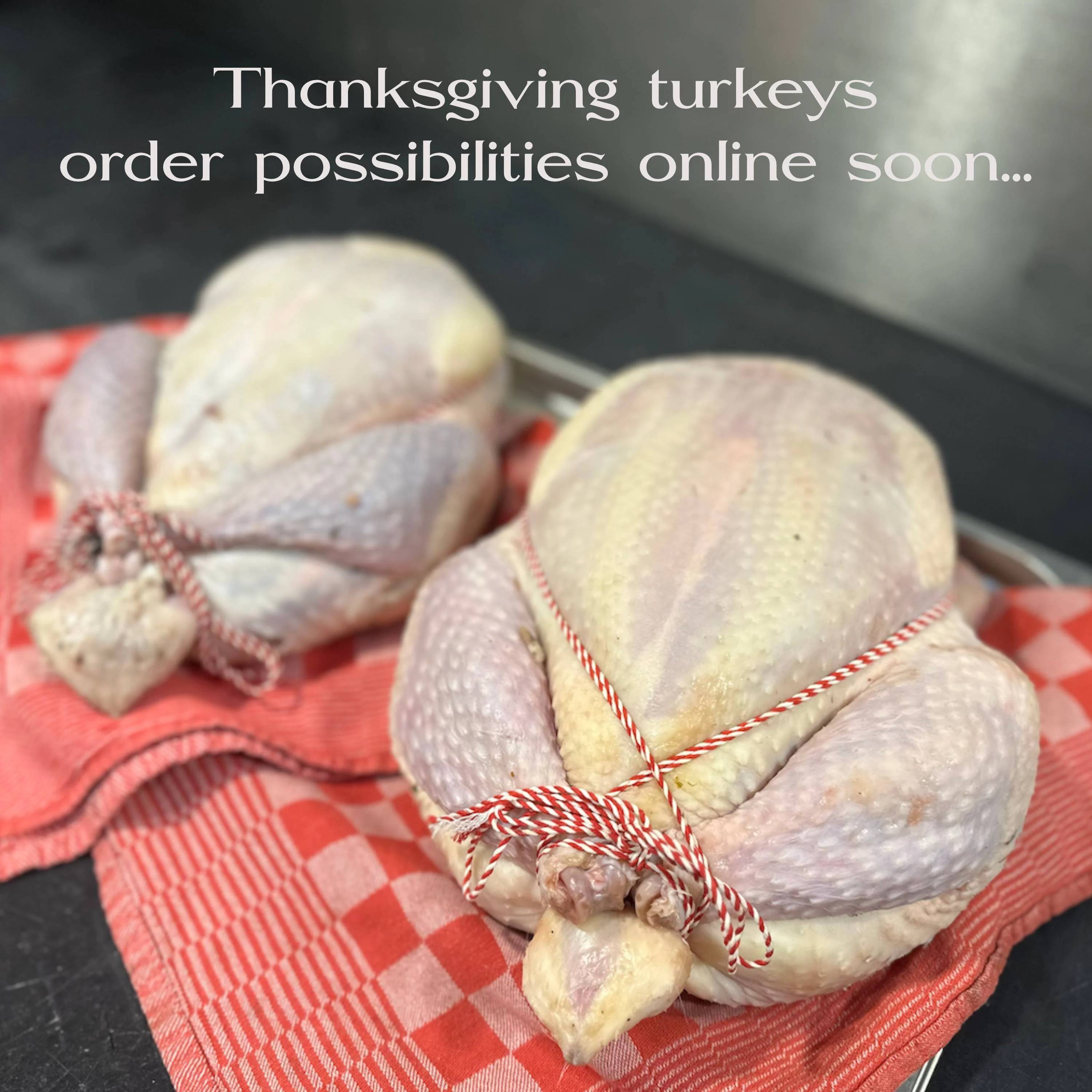 kalkoenen/turkeys