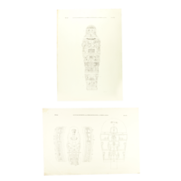 Set litho's buitenkist Anchefenchonsoe