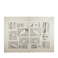 Litho van Egyptische gietvormen