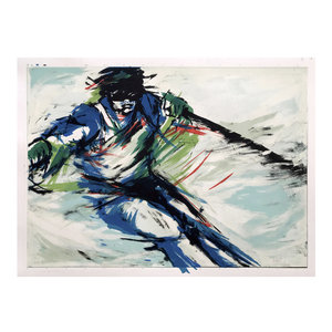 Eigen Collectie Anke Peddemors, Skier