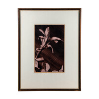 Ans Wolderingh, Gentiaan C 102