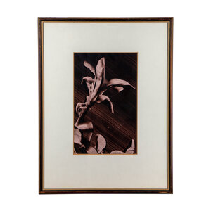 Gemeente Ede Ans Wolderingh, Gentian C 102